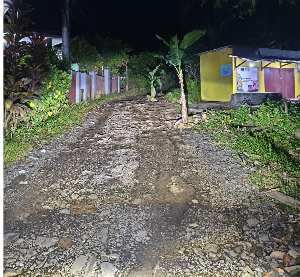 Sebuah aksi kekecewaan di perlihatkan oleh beberapa warga Kampung Citereup menanam pohon pisang di jalan poros Desa Rahong