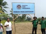 H. Mulyadi Penggagas Gerakan Masyarakat (Gema) Tani Kabupaten Pandeglang saat meninjau lokasi kebun percontohan kebutuhan bahan pangan dapur MBG.