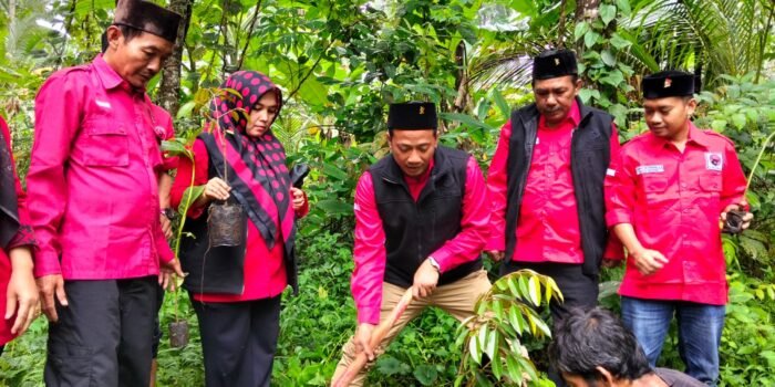 Caption: Sekretaris dan Jajaran DPC PDI Perjuangan Pandeglang saat melakukan penanaman pohon di wilayah Menes.