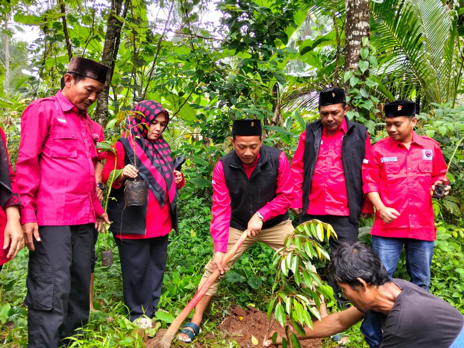 Caption: Sekretaris dan Jajaran DPC PDI Perjuangan Pandeglang saat melakukan penanaman pohon di wilayah Menes.