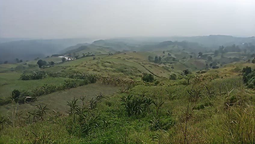 Caption : Ilustrasi lahan warga