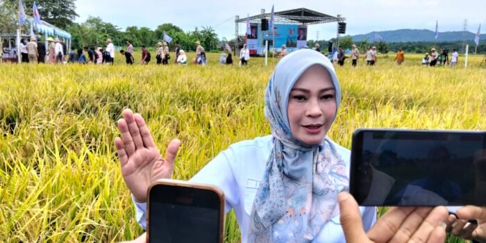 Caption : Staf Khusus Menteri Koordinator Bidang Pangan, Irna Narulita, usai menghadiri acara Panen Raya, di desa Sukarame, Kecamatan Carita, Kabupaten Pandeglang.