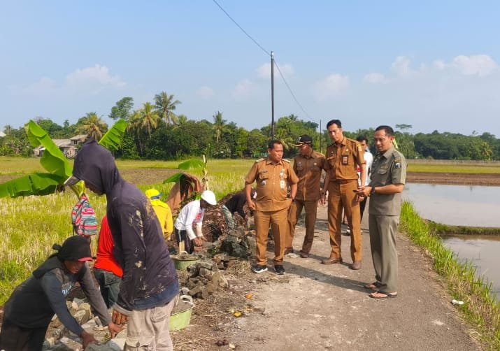 Caption: Camat Cikulur saat melakukan monitoring kegiatan P3-TGAI
