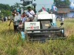 Caption : Gubernur Banten, Andra Soni menghadiri panen raya padi sekaligus penanaman jagung di Kecamatan Carita, Kabupaten Pandeglang. Caption : Gubernur Banten, Andra Soni menghadiri panen raya padi sekaligus penanaman jagung di Kecamatan Carita, Kabupaten Pandeglang.