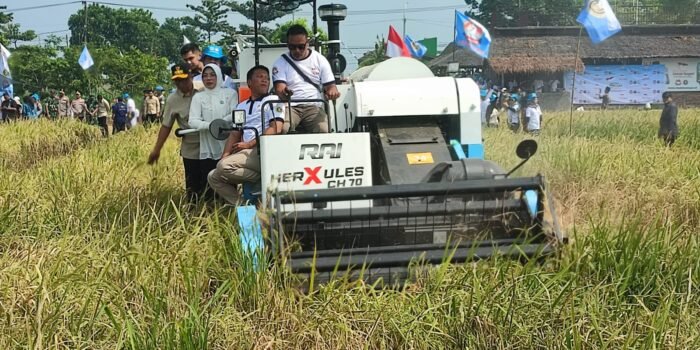 Caption : Gubernur Banten, Andra Soni menghadiri panen raya padi sekaligus penanaman jagung di Kecamatan Carita, Kabupaten Pandeglang.