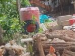 Caption : Aktivitas tambang emas milik warga diduga tidak mengantongi izin dari pemerintah. Caption : Aktivitas tambang emas milik warga diduga tidak mengantongi izin dari pemerintah.