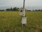 Caption : Pemasangan Listrik diarea persawahan Gapoktan Lebak