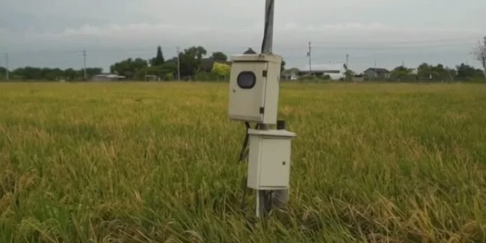 Caption : Pemasangan Listrik diarea persawahan Gapoktan Lebak